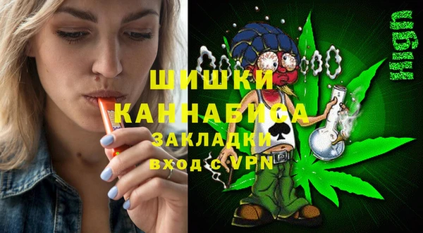 соль ск Богданович