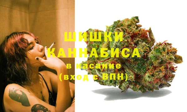 соль ск Богданович