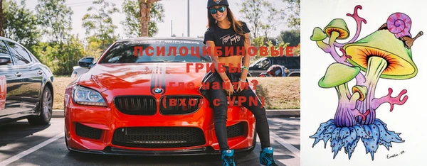 тгк Богородицк