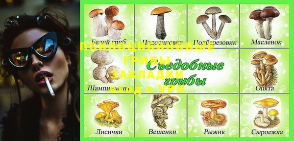 тгк Богородицк
