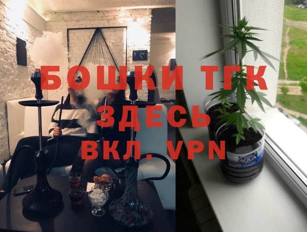 соль ск Богданович