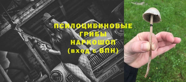 соль ск Богданович