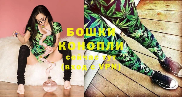 тгк Богородицк