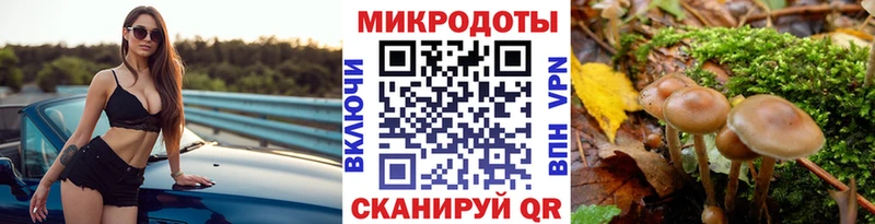 Галлюциногенные грибы Cubensis  Игра 
